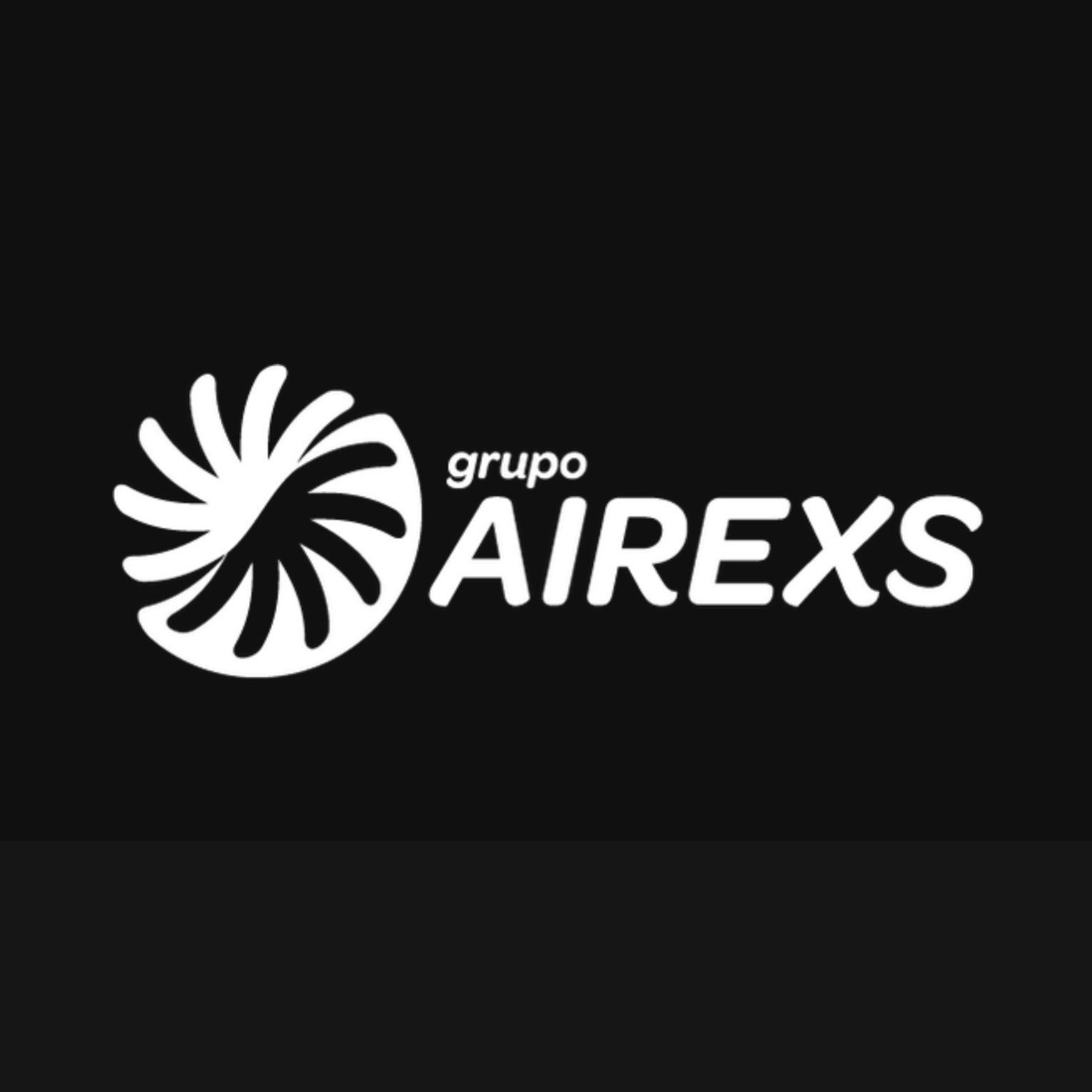Grupo Airexs